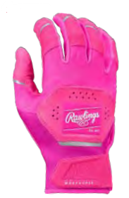 Rawlings 2027 Workhorse Batting Gloves