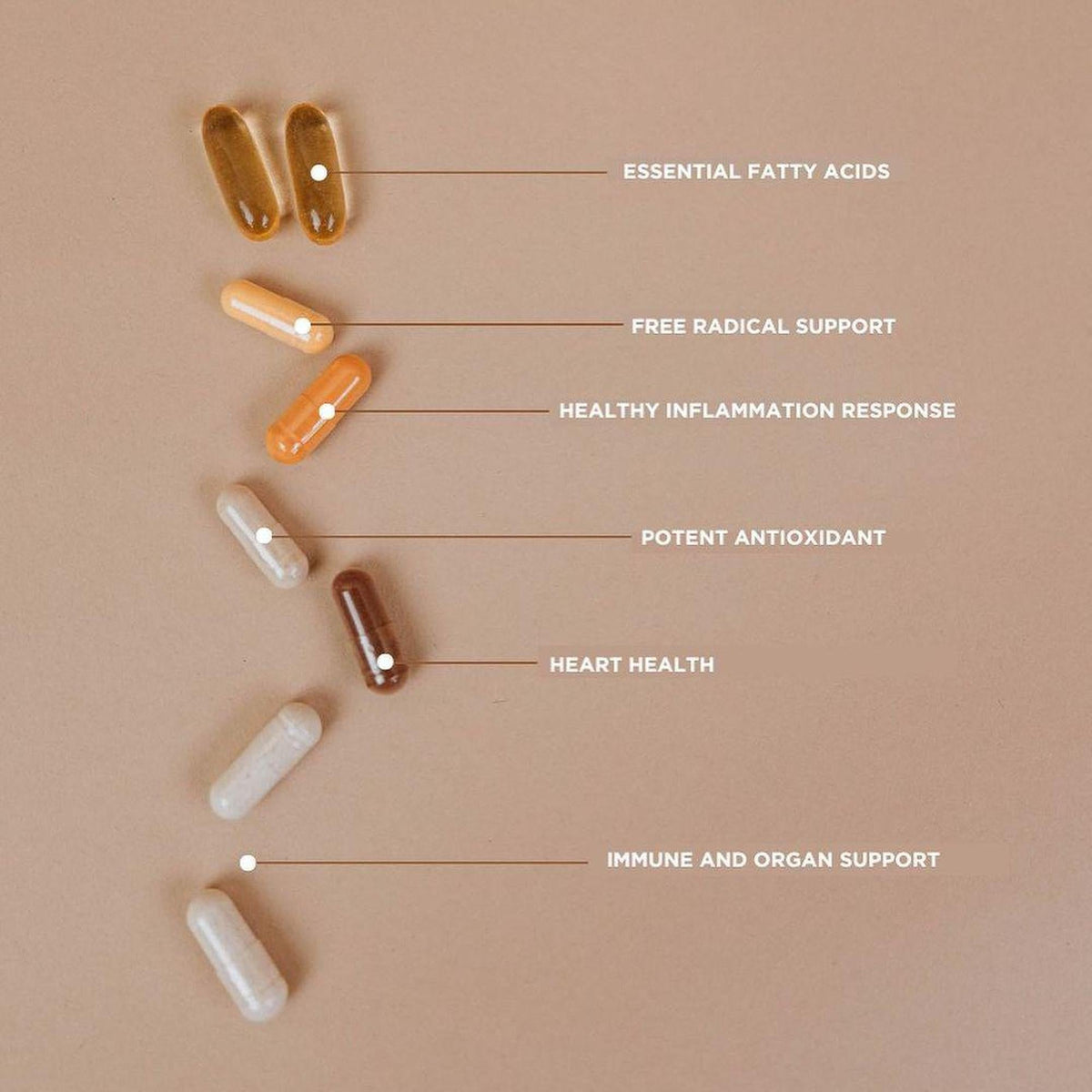 Revive Essential Vitamins Pack