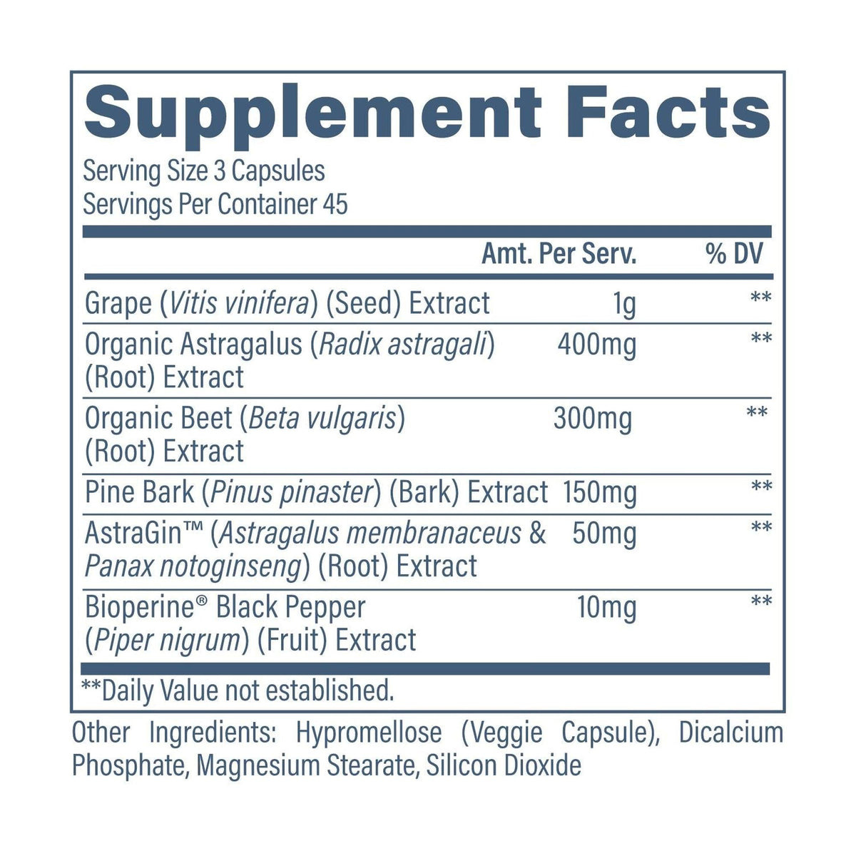 Revive Kidney Support Supplement