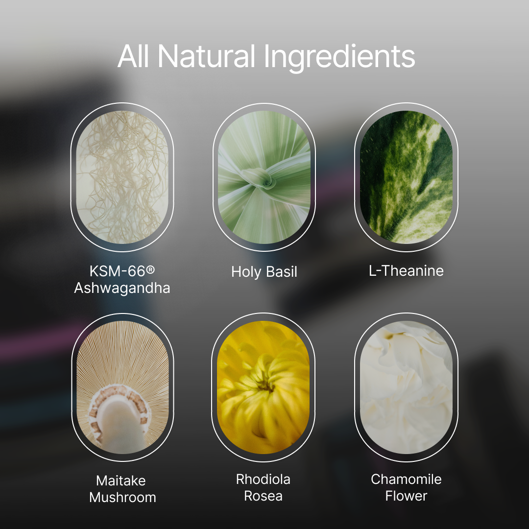 ZenX: Mood Support Nootropic