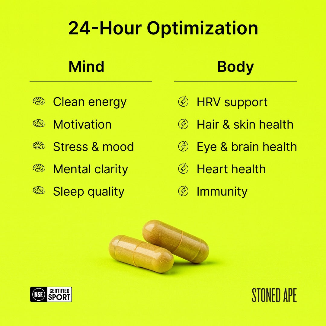 Nootropack: Our Nootropic Bundle